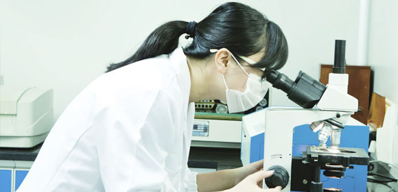 理化實(shí)驗(yàn)